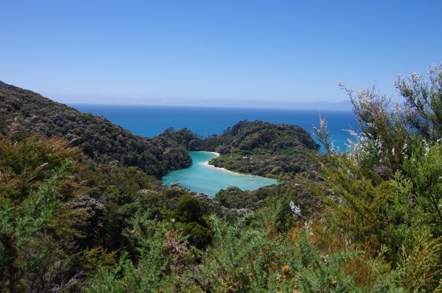 Kiwi impressions (17/21) – Abel Tasman and a superman