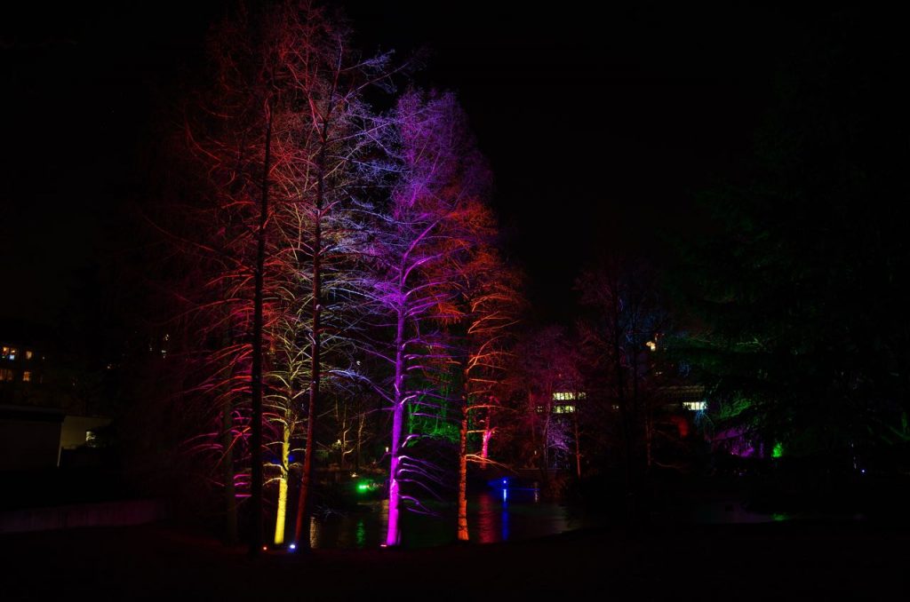 Winter lights at arctic temperatures