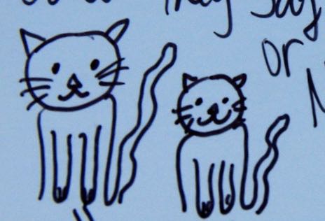 Some more cats…
